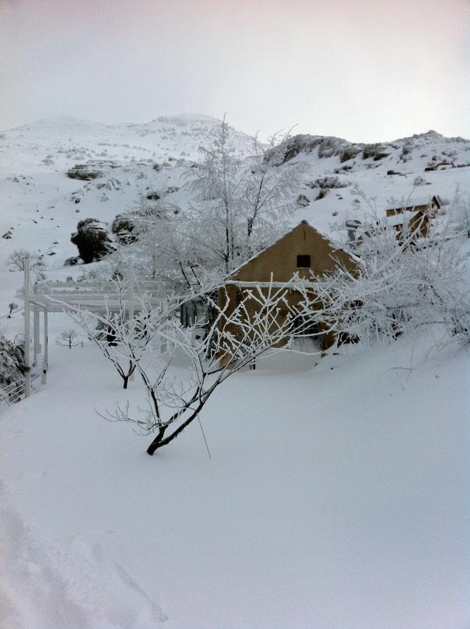 Soha Village Resort Fālūghā Екстериор снимка